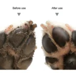 kf-S67e18e9c3a12489989f15d4b951e550dv