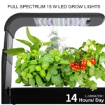 kf-S61895b4cbe69499a86c2188ec803d772z