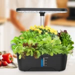 kf-S957c28bcb8a34413b9953c4ed7bbd407w