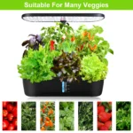 kf-Sbd8a96b0773541119b81d47e8ddd2e94M