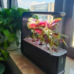 kf-Sdc4cfb1d4e6f46ce9fb410f6e5a8e963B